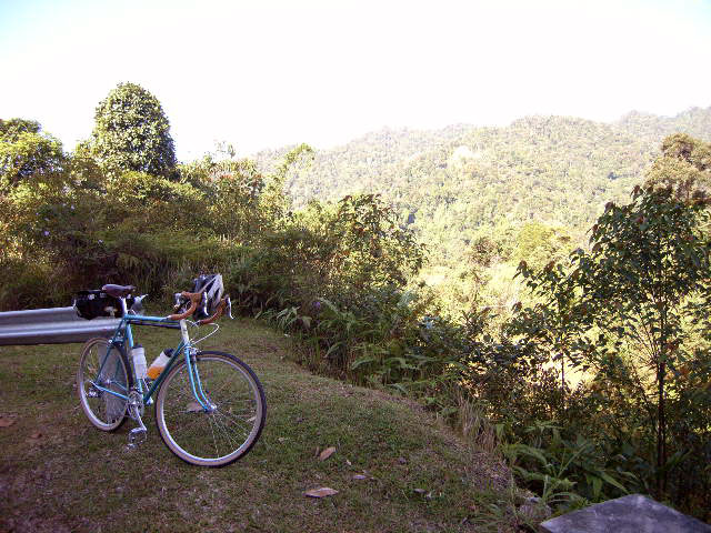 Rivendell Bleriot - in the rain forest